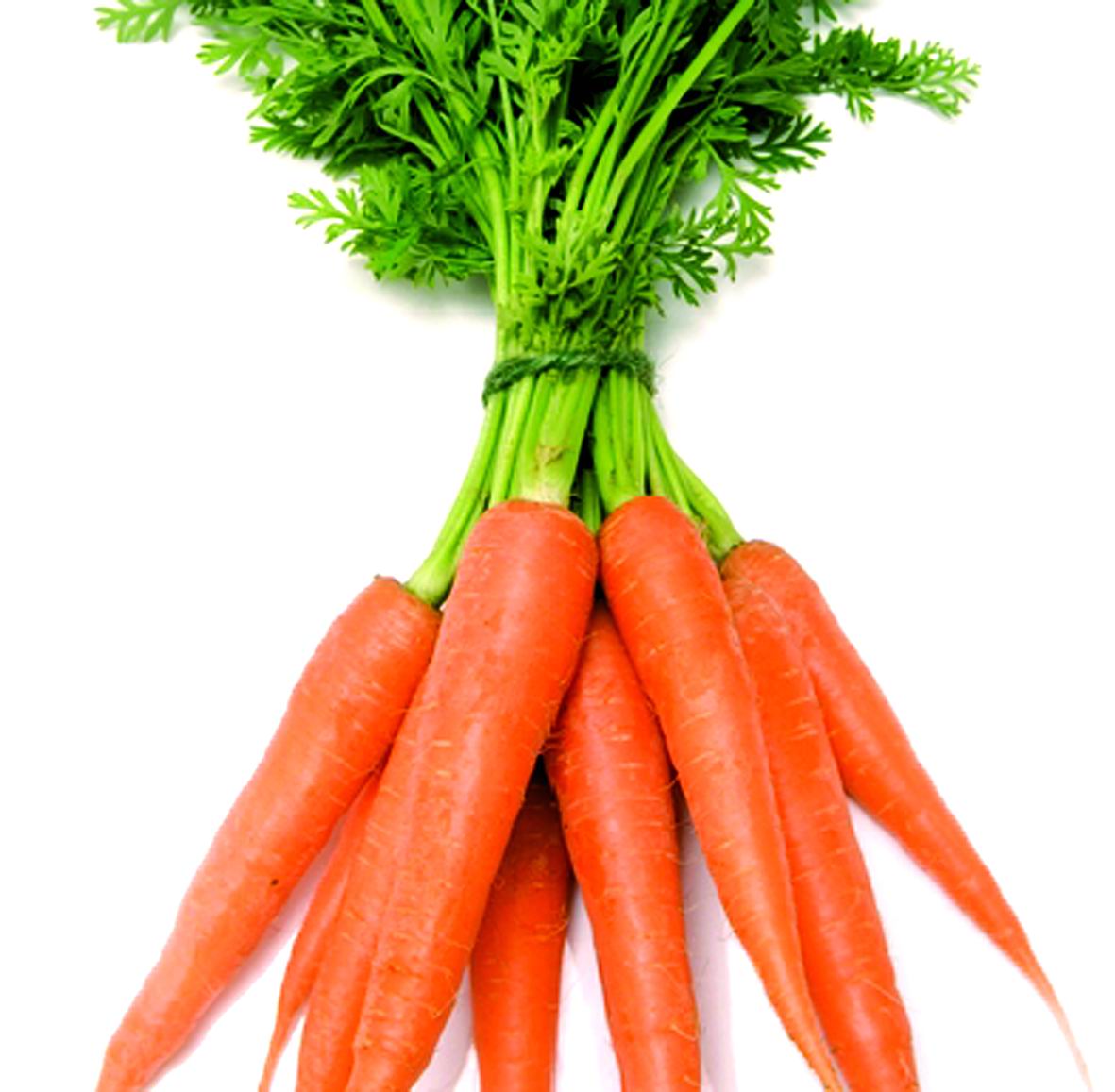 Yummy and Easy Recipes: CARROTS