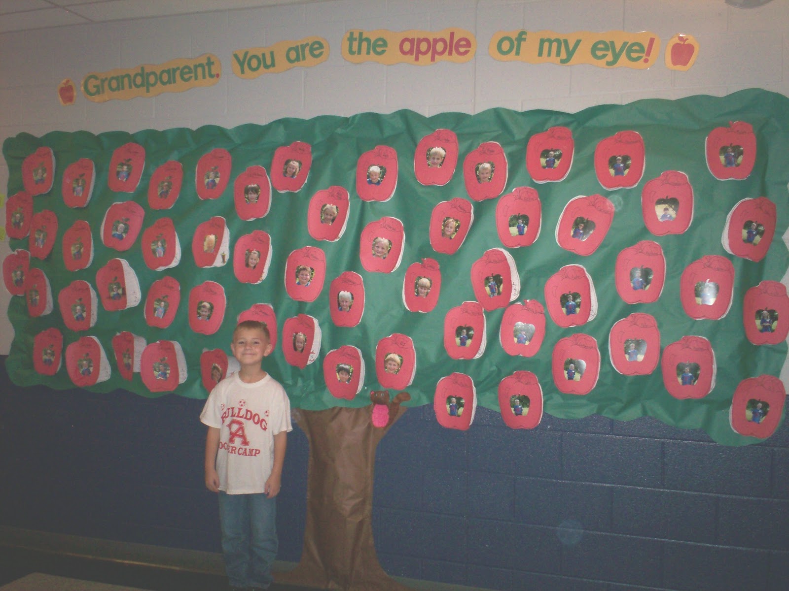 Mrs. Butterfield's First Grade Tree Bulletin boards