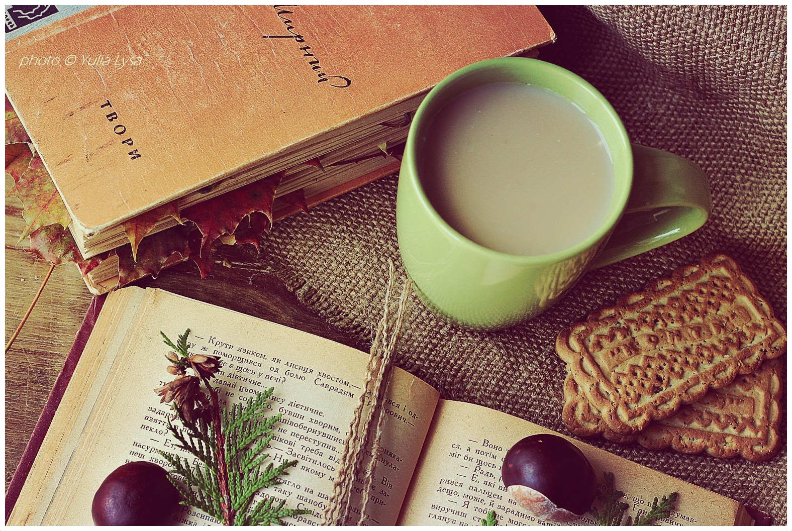 Книга на столе в кафе Книга на столе в кафе