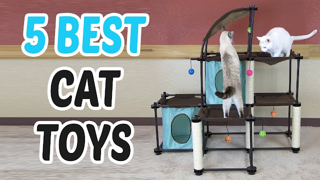 5 Best Cat Toys 2018
