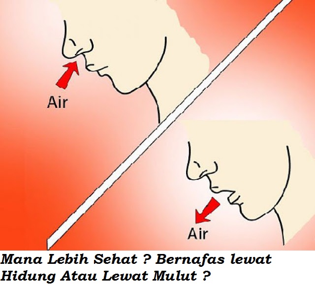 Wajib anda ketahui !! mana yang lebih sehat ? bernafas lewat hidung WAJIB ANDA KETAHUI !! Mana Yang Lebih Sehat ? Bernafas lewat Hidung