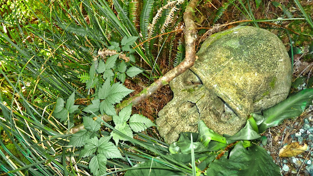 Skulls among the shrubs... Skulls among the shrubs...