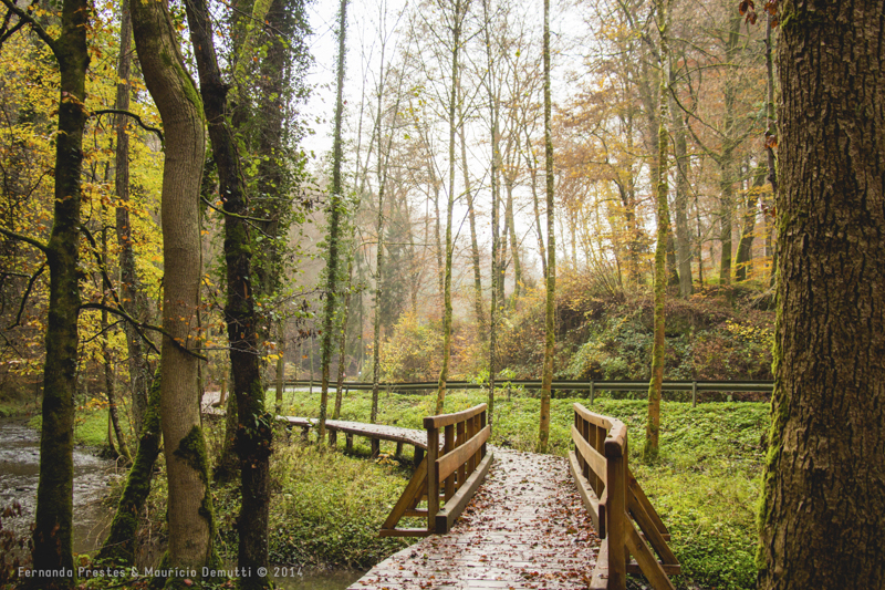 mullerthal trail Luxemburgo mullerthal trail Luxemburgo