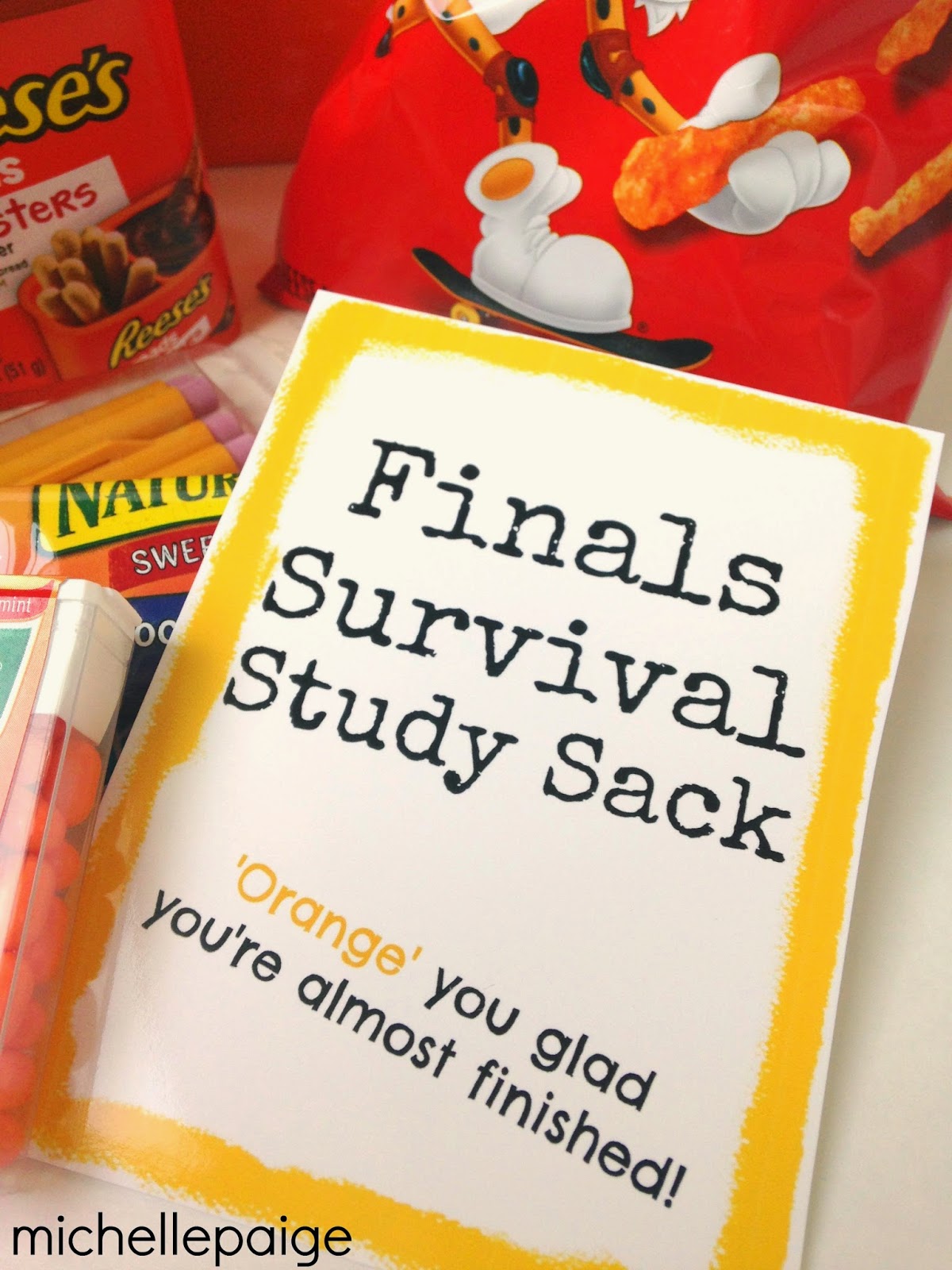 michelle paige blogs Finals Survival Study Sack for the College Kids
