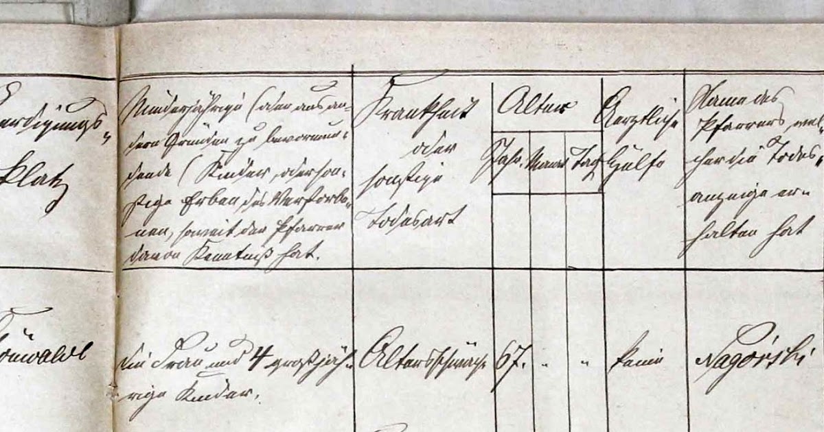 Tree Quest An Unexpected Journey Family of Johann Pionk and Marianna