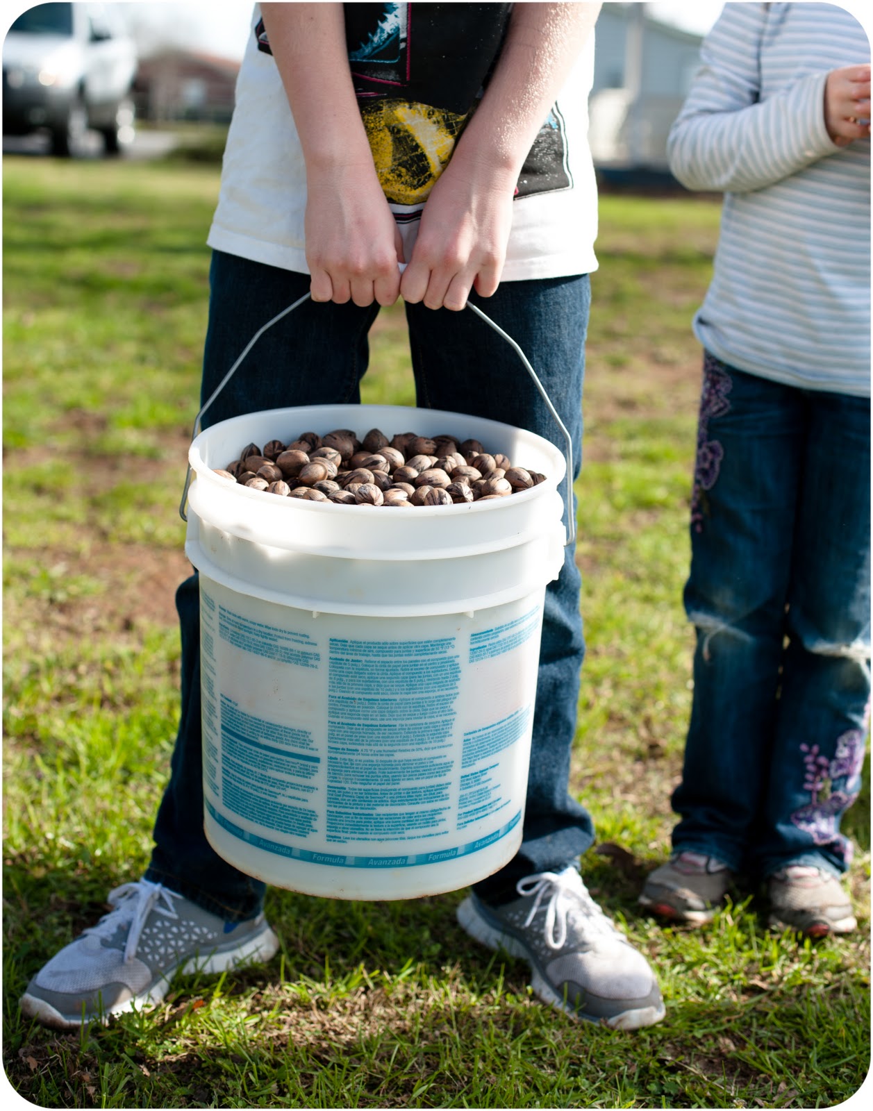 eyes to see southern pecans.