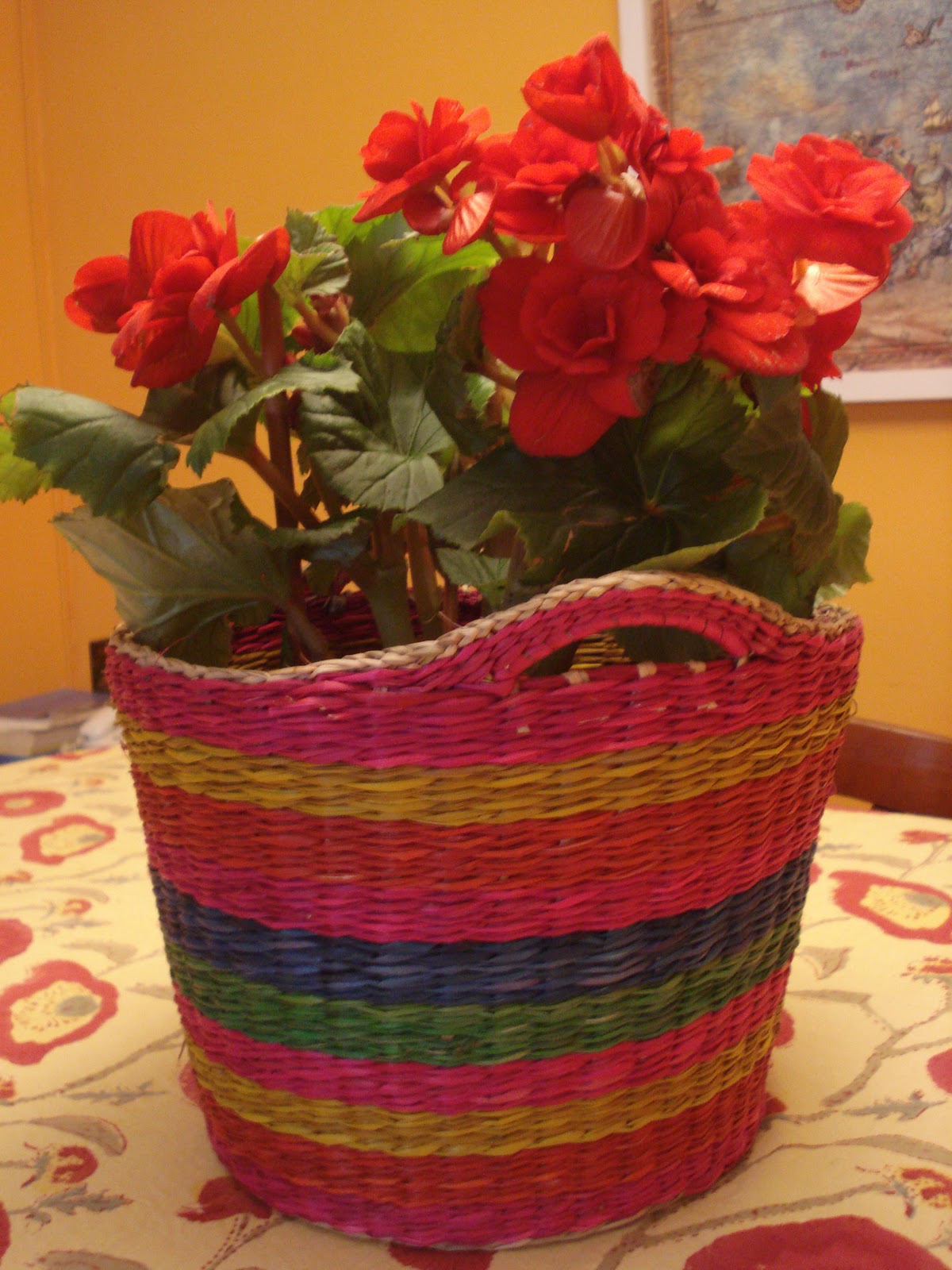 Bonitas cosas bonitas...