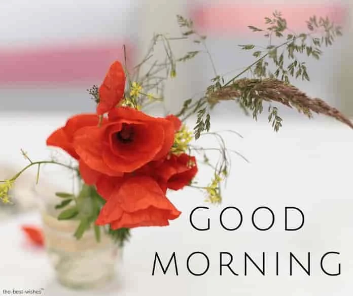 gud mrng images with red flowers