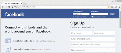 Facebook password reveal