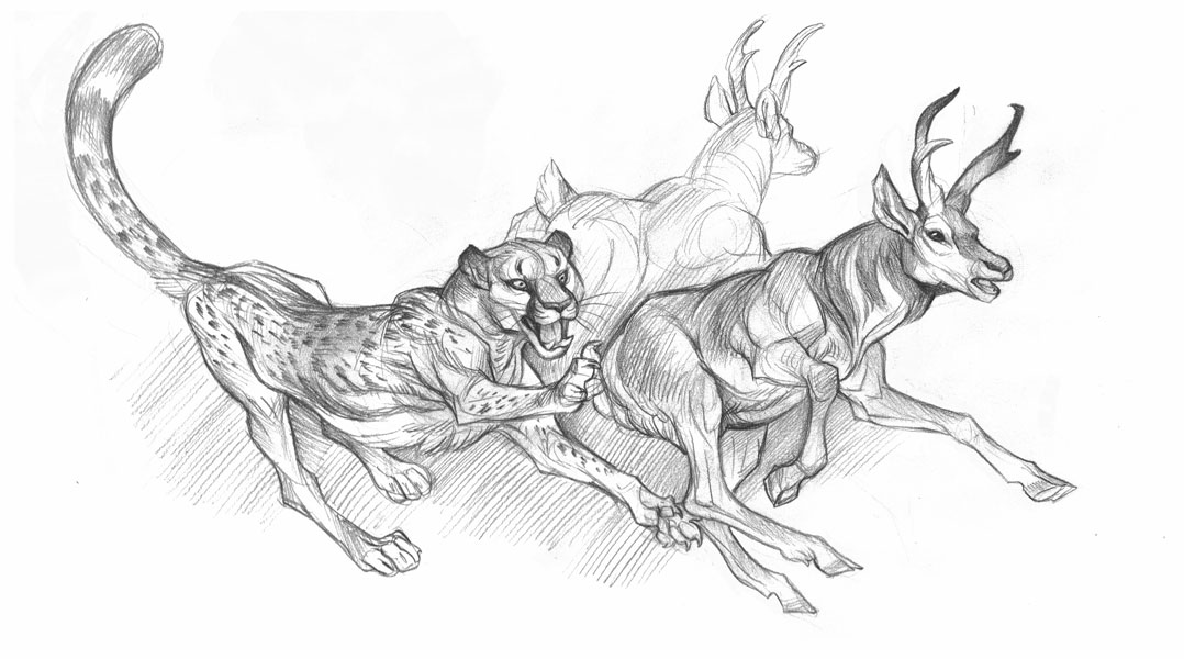 Graphite Dragons: 2017