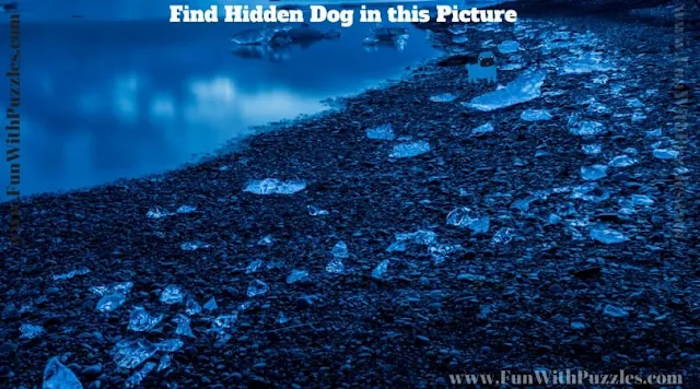Picture Puzzle to find hidden dog to test your observational skills