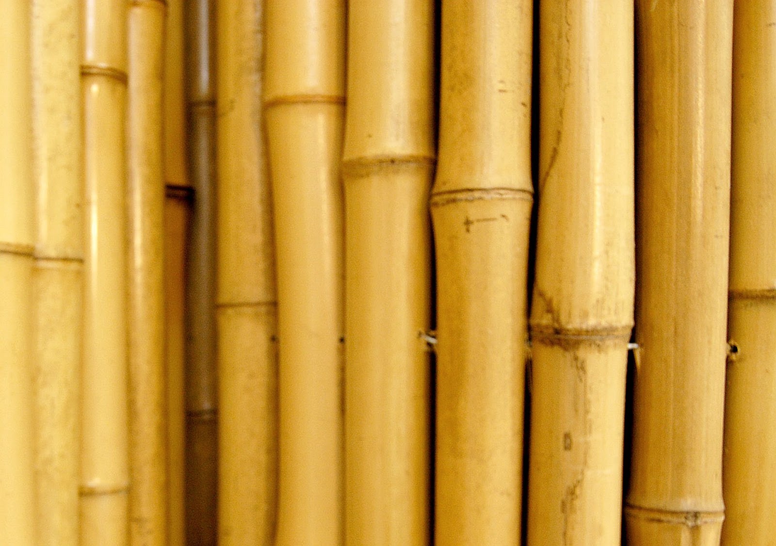 Bamboo Flooring silverspikestudio