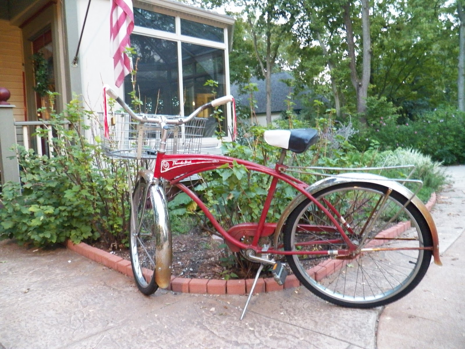 Pee wee herman bike accessories