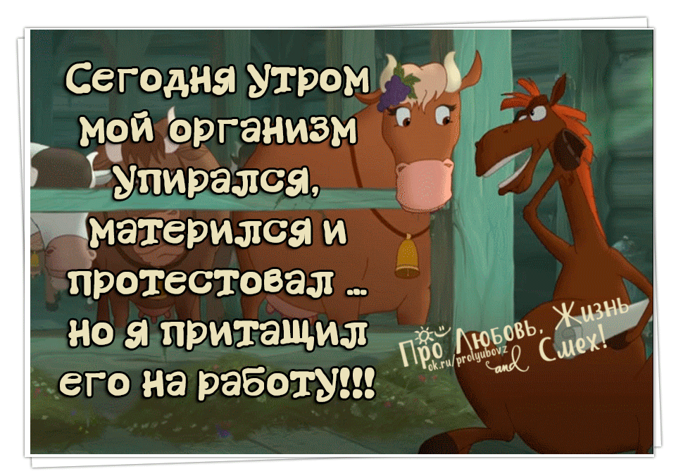 Прикольные картинки от работы кони дохнут и трактора ломаются