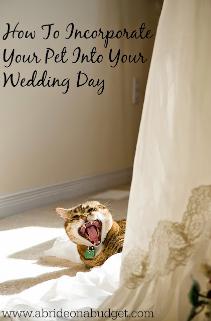 Do you have a furbaby? If you want to incorporate your pet into your wedding day, you definitely can! But you should read this post from www.abrideonabudget.com.