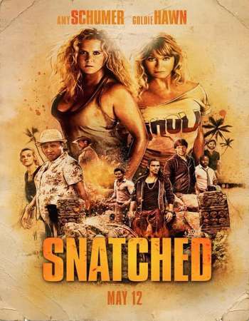 Snatched 2017 Hindi Dual Audio BRRip Full Mobile Movie Download