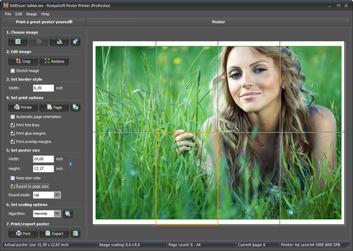 ronyasoft poster printer software free download ronyasoft poster printer software free download