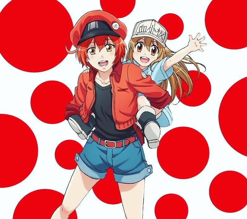 Cells at Work! - Wikipedia