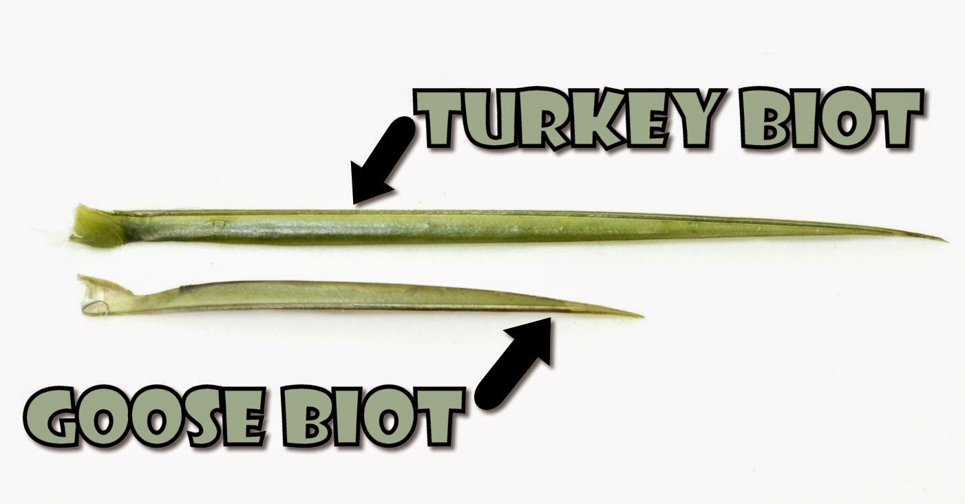 The Biot Body Primer Fly Fish Food