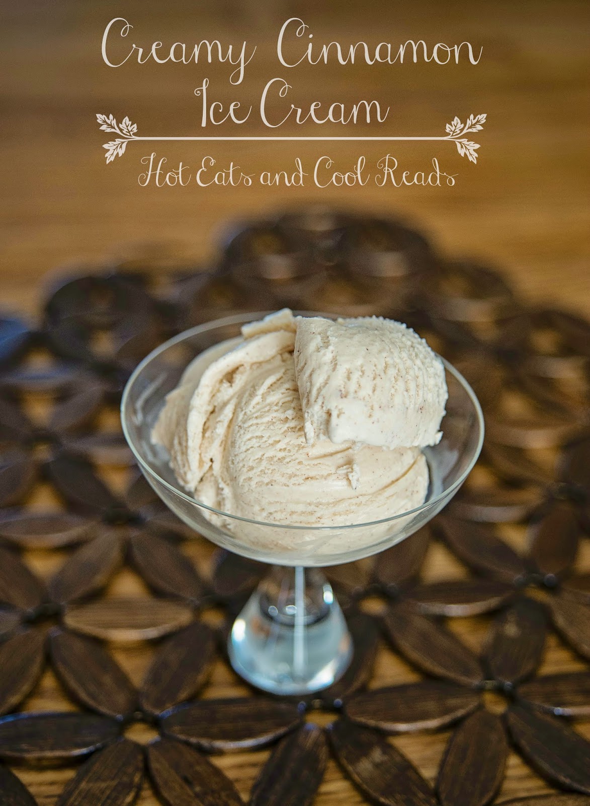 Hot Eats and Cool Reads Homemade Creamy Cinnamon Ice Cream Recipe