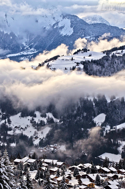 Lachat Muntii Alpi Savoie Franta