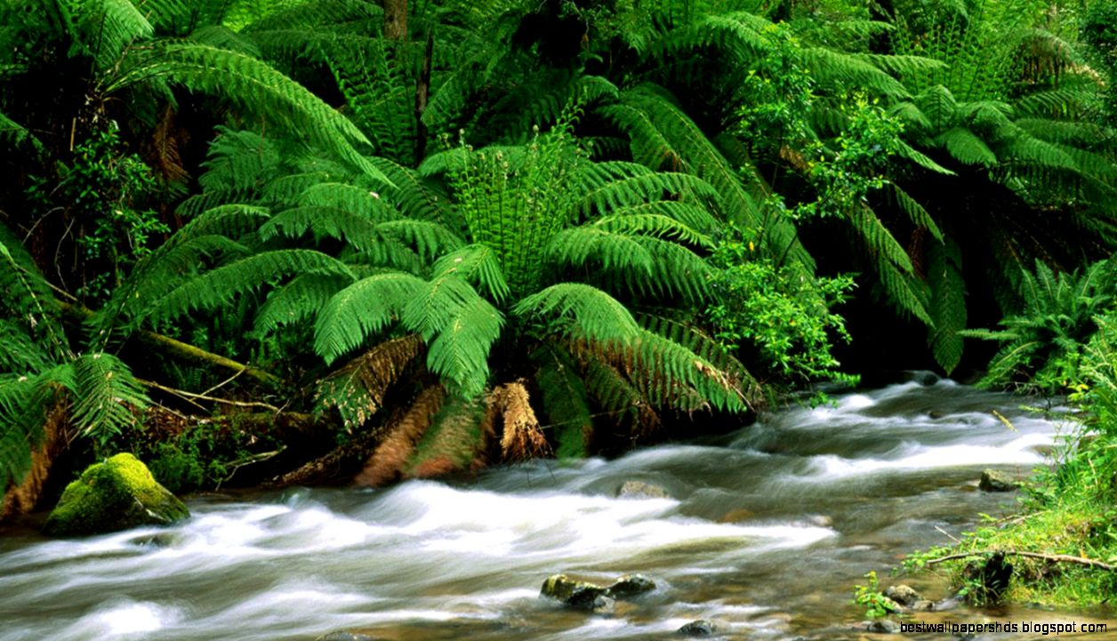 Nature Wallpapers HD For Desktop High Resolution Best HD Desktop