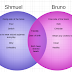 Veisinia : Bruno and Shmuel Venn diagram