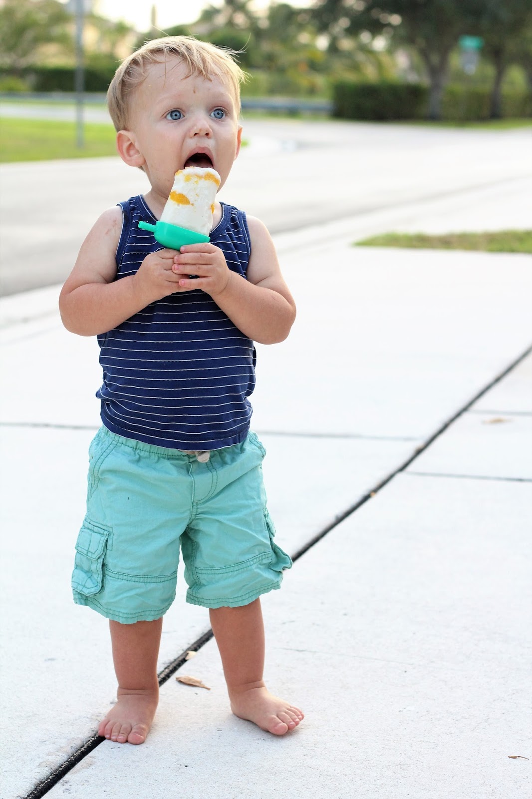 Snack Pack Naturals Layered Fruit Swirl Pops Tuesdays with Jacob