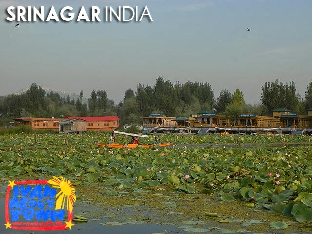 Dal Lake, Srinagar, Kashmir, India