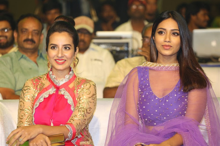 Nivetha Pethuraj at Mental Madilo Pre Release