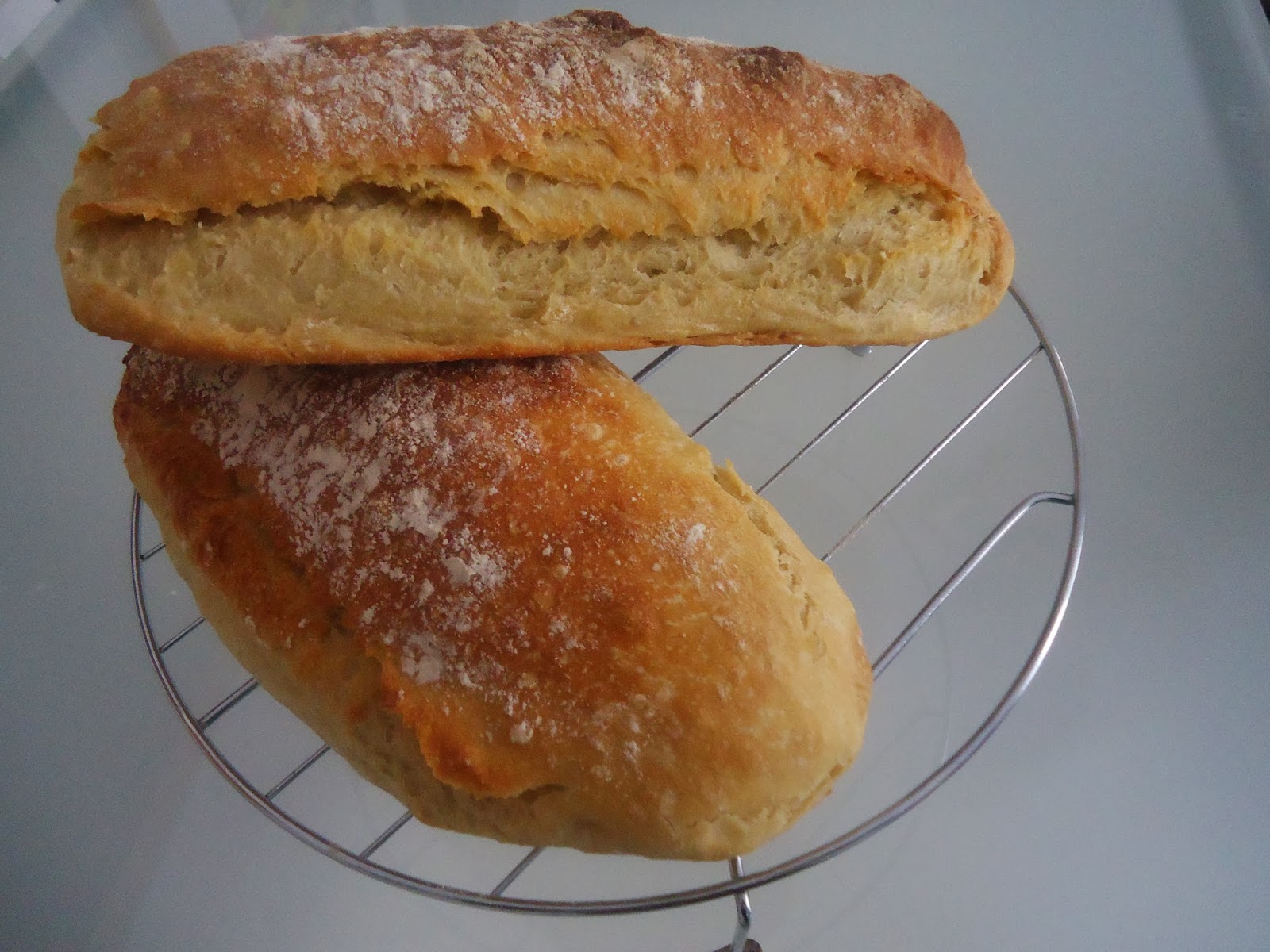 Pan Ciabatta y un nuevo miembro