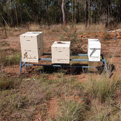 eight acres:Getting started with Beekeeping: what equipment do I need?