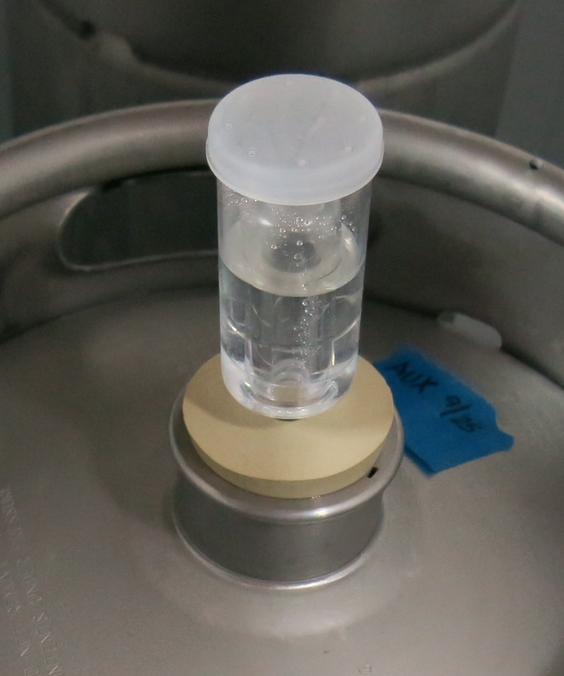 EnoViti Waiting for Cup Airlock Bubbling