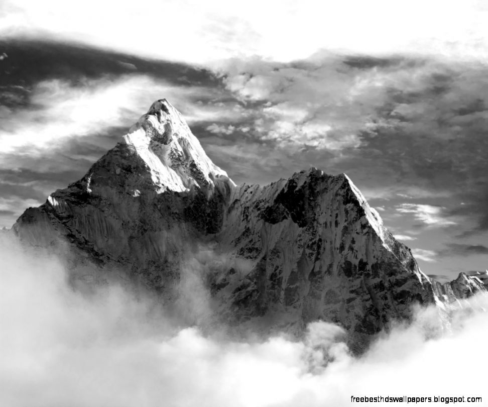 Technology Archives  Lion  Panda