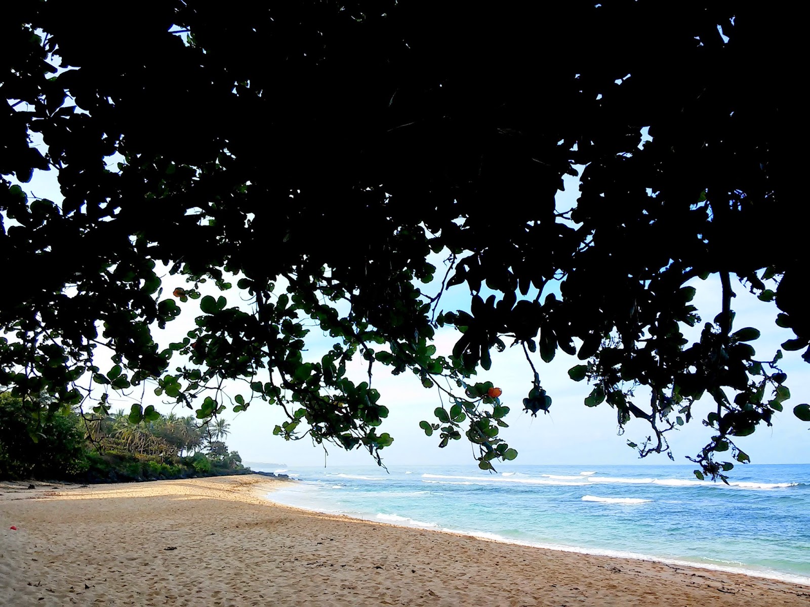 Within the Perfect Camping spot in Patar Beach