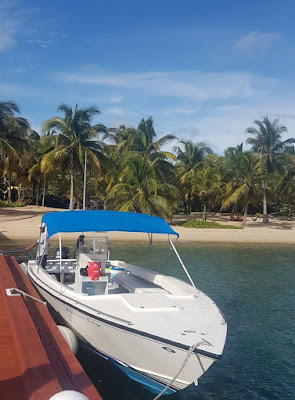 stay belize