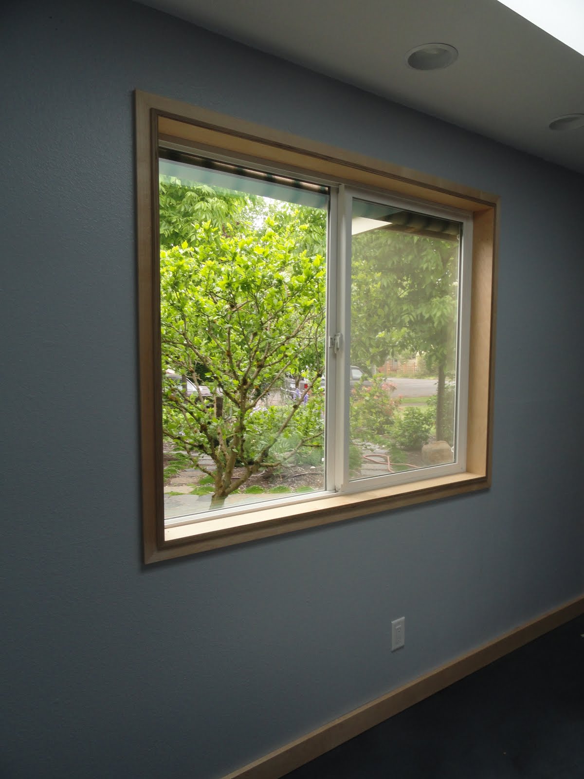 Eugene Modern Monkey Window and Door Trim Modern Organic