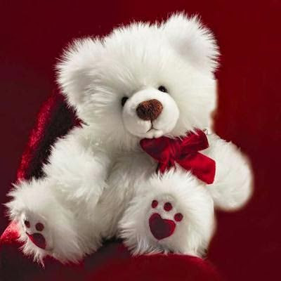 Imagenes De Ositos De Amor Para Fondos De Pantalla