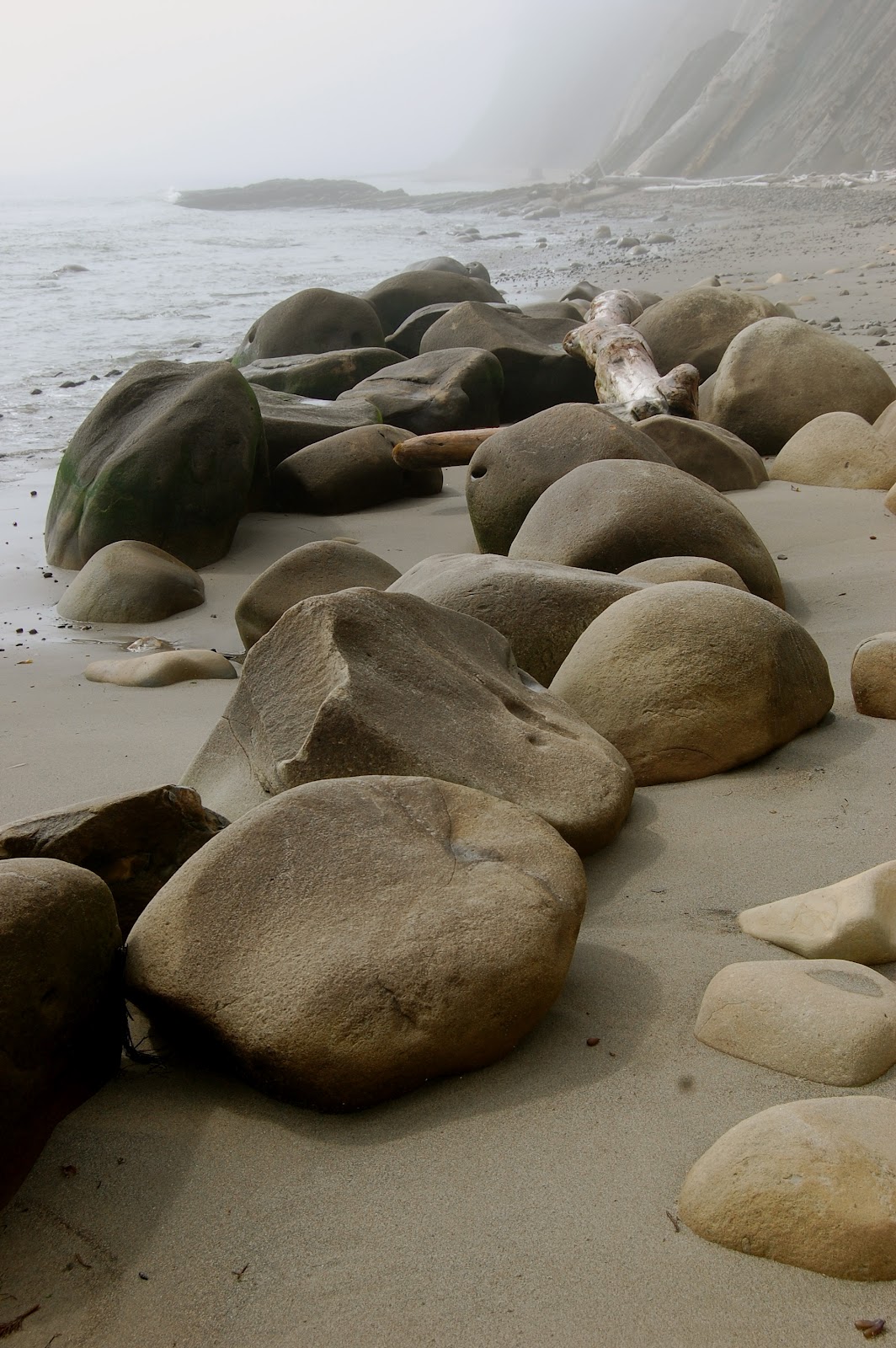 blackoaknaturalist Bowling Ball Beach, 7/3/12