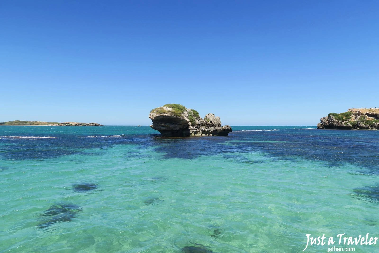伯斯-景點-推薦-必玩-一日遊-企鵝島-Penguin-Island-遊記-旅遊-自由行-Perth