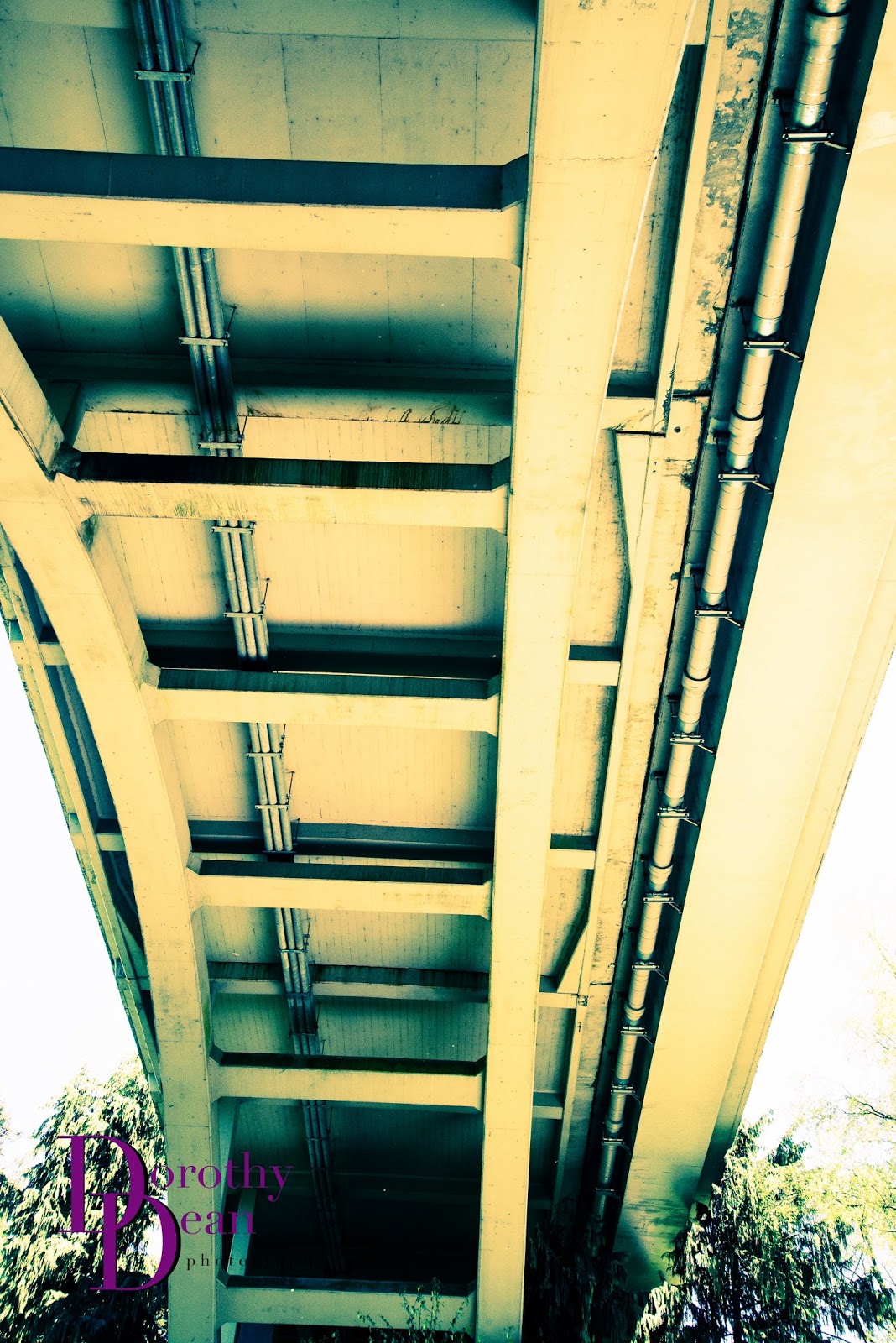 Dorothy Dean Wedding and Family Photographer Tumwater Falls