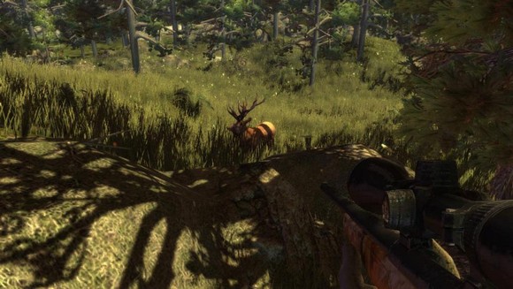 Hunters-Trophy-2-Australia-Game-PC-Review-Screenshot-4