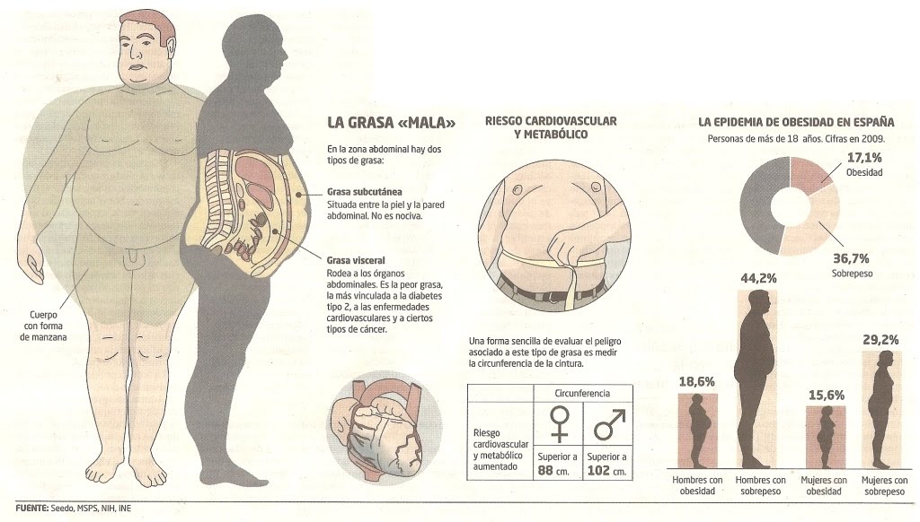 grasa visceral en hombres