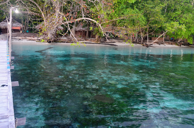 Clear water di muka Talaip Homestay, Raja Ampat +jelajahkeluargasuwanto