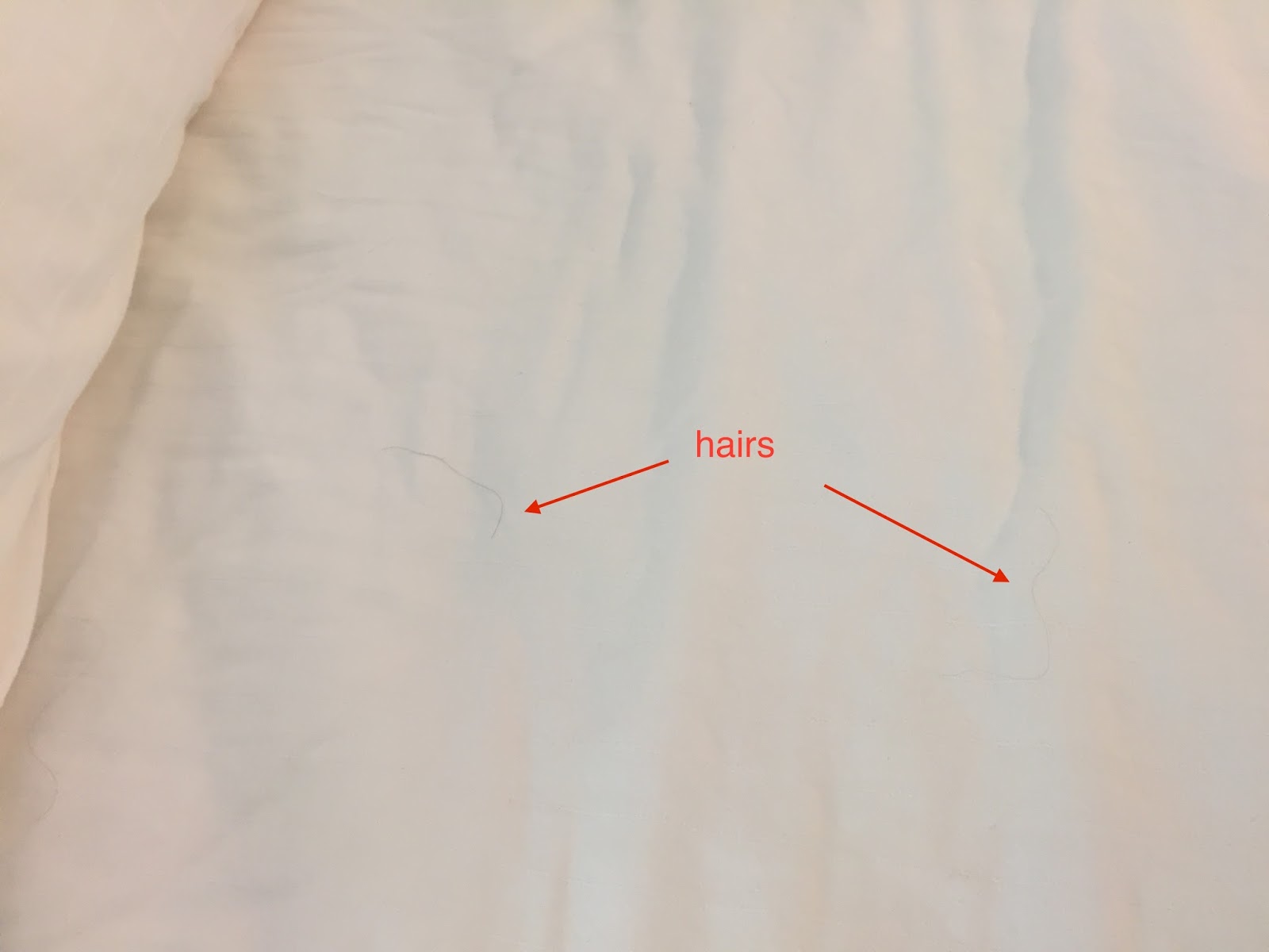 Travel Reviews & Information Bowling Green, Kentucky / Holiday Inn