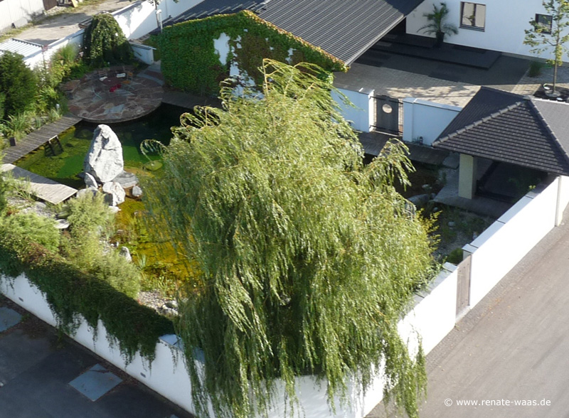 Gartenblog Zu Gartenplanung Gartenberatung Gartendesign Und