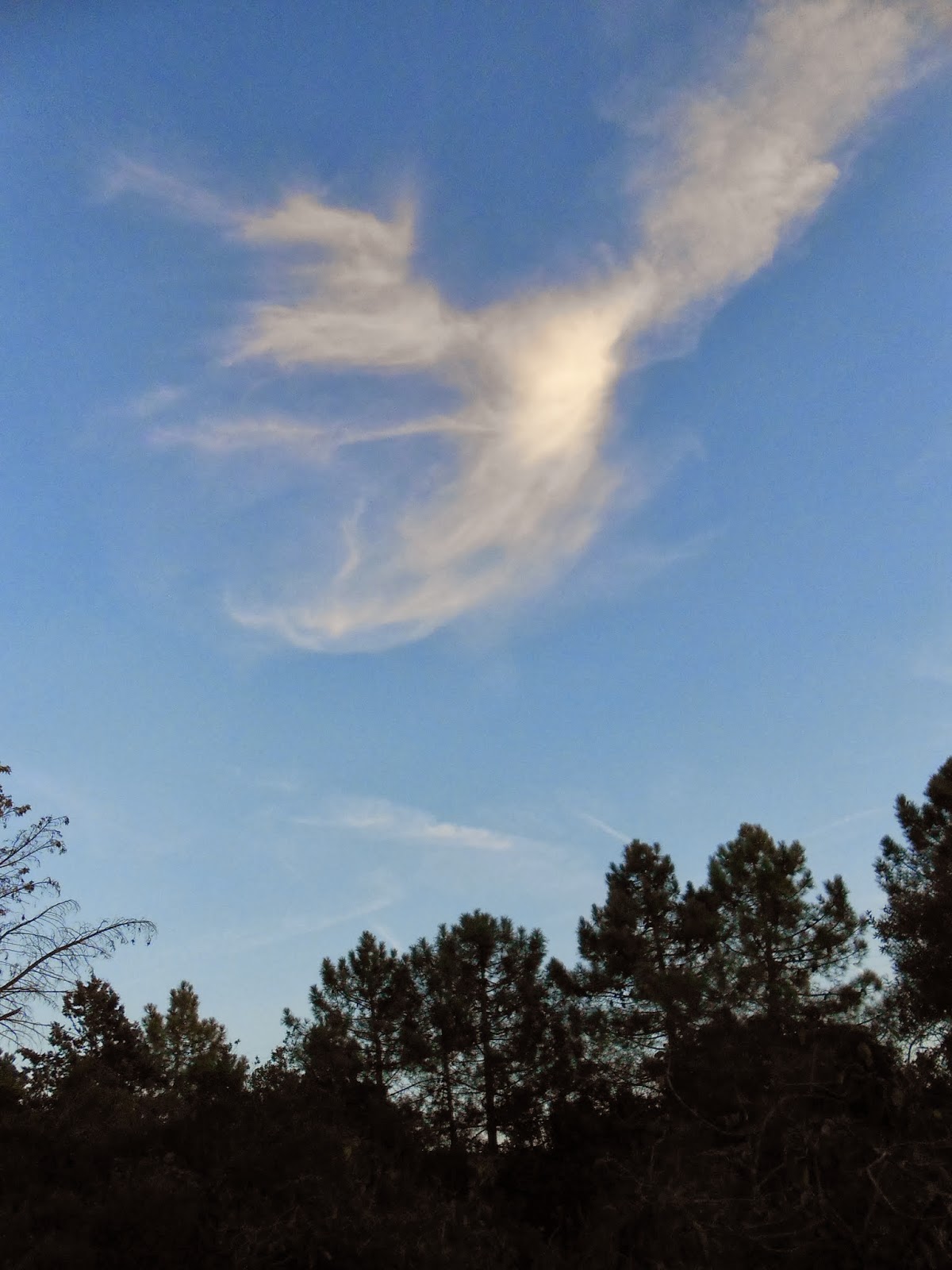 Non c'è vita senza Arte, non c'è Arte senza vita Un Angelo nel cielo