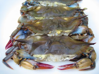soft shell crab crabs blue frozen meat fresh carolina fest imitation king shack north season fish 5pm oyster sunday bar