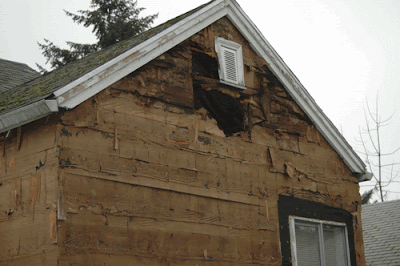 this world we live in: Fungi: rotting civilisation from its very ...