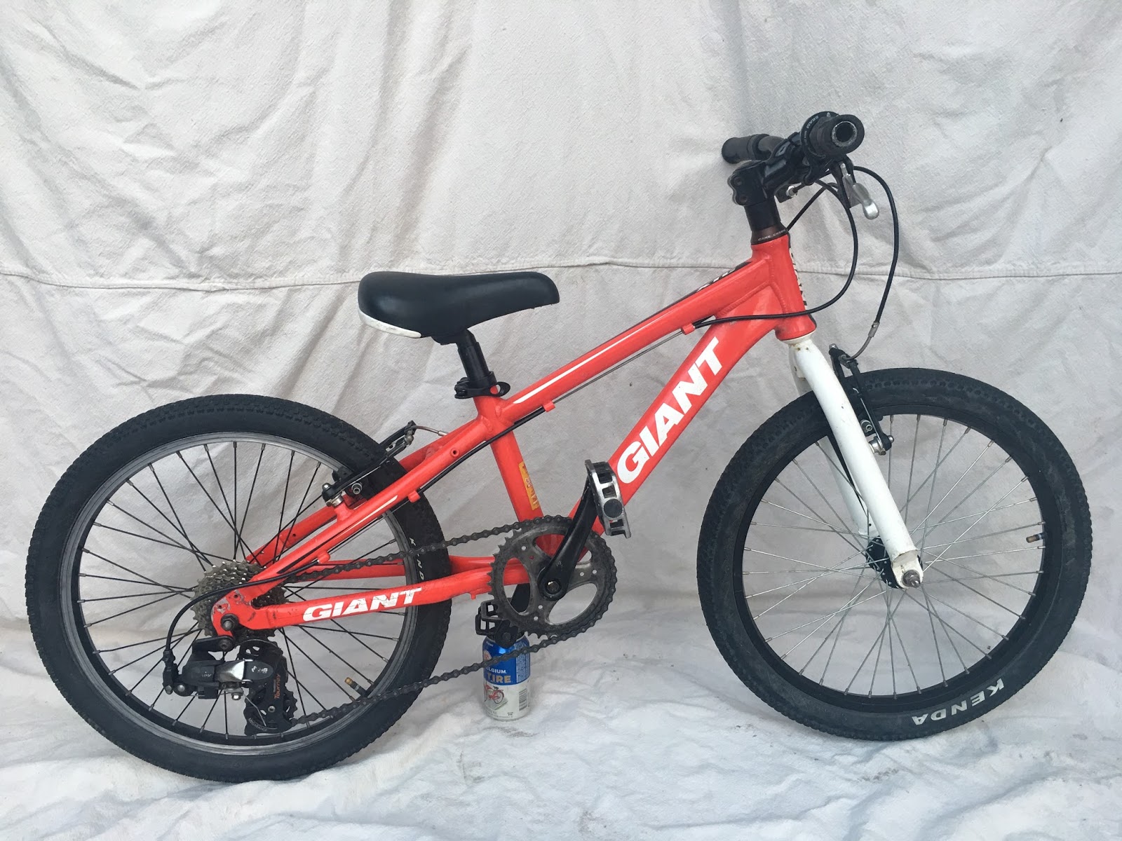 giant 20 inch mountain bike